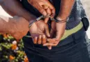 Justice et environnement : les parquets tentent de se verdir