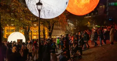 Festival de BD d’Angoulême 2025 : les albums en sélection officielle, les expos et les temps forts
